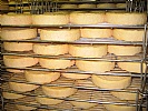 La fromagerie Fischer : stockage des munsters